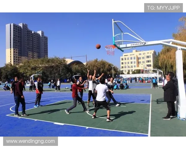 问鼎体育官网首页登录账号密码忘记了怎么办详细恢复步骤与安全验证流程