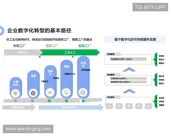 问鼎登陆推动企业数字化转型实现高效运营与可持续发展的实践经验